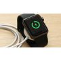 Кабель - зарядное устройство 2-в-1 COTEetCI USB Lightning Magnetic Charging для Apple Watch с магнитным креплением