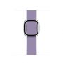 Кожаный ремешок Apple Modern Buckle Lilac для Apple Watch 38 - 40 - 41 мм лиловый