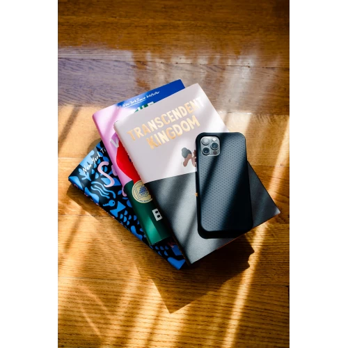 Ударопрочный чехол Urban Armor Gear [U] DOT Series Black для iPhone 12 / 12 Pro